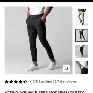 Dolci Lusso Modern Mobility Stretch Pants